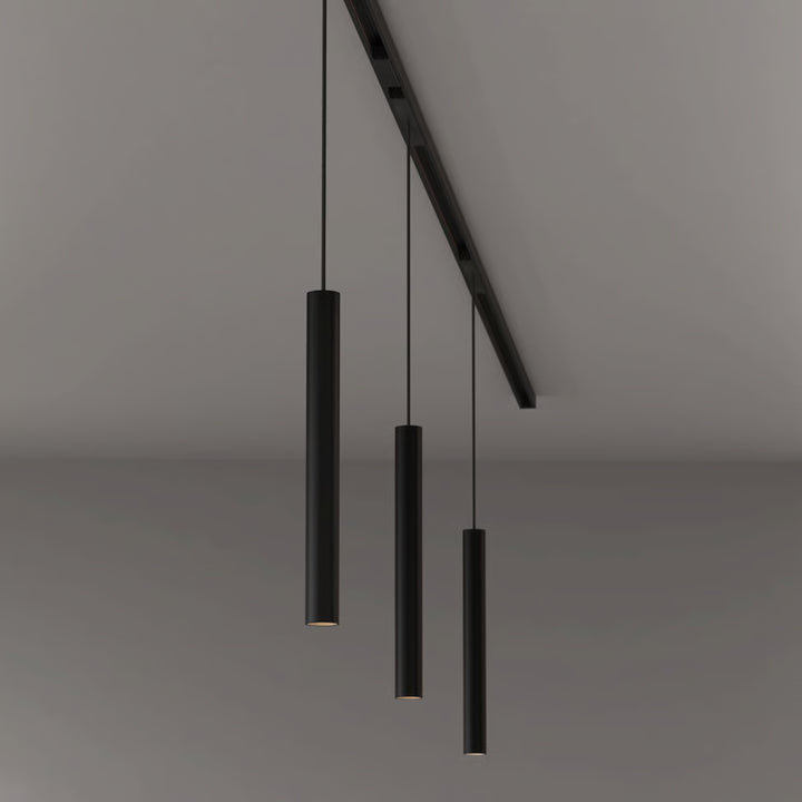 Can 30 Pendant 48V Track DALI