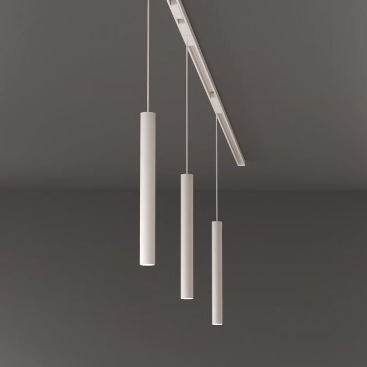Can 30 Pendant 48V Track DALI