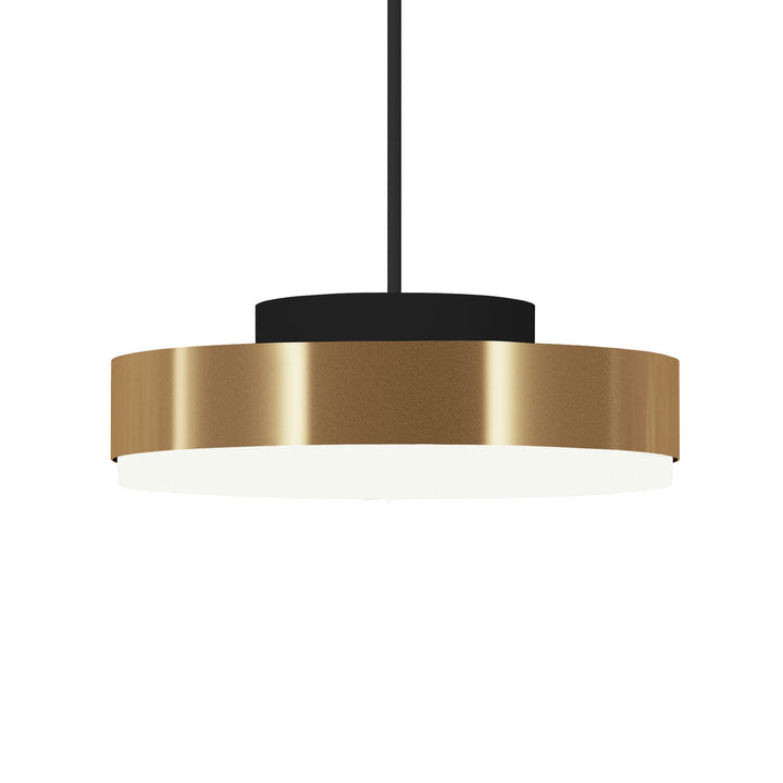 Discus Suspension