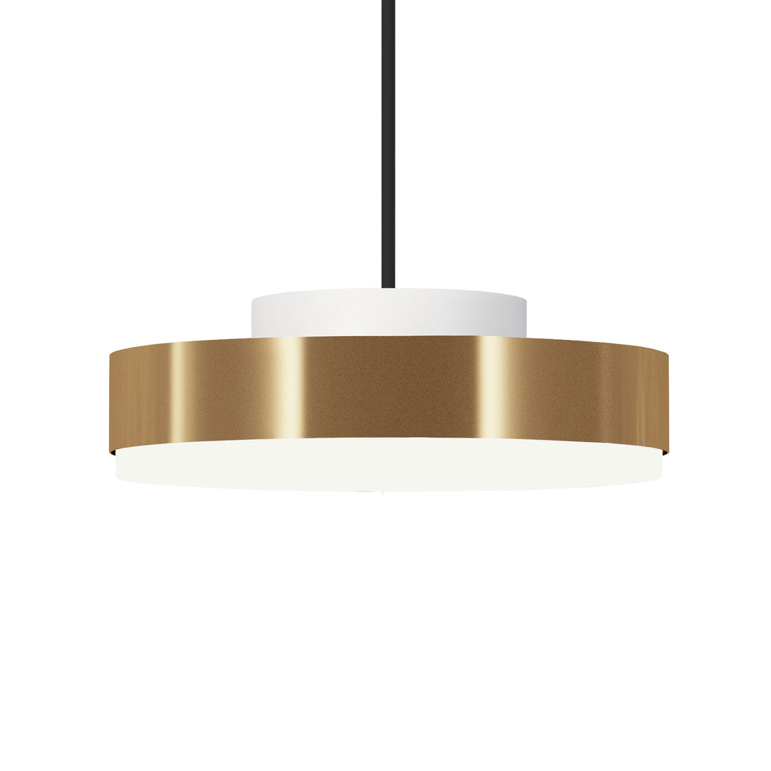 Discus Suspension