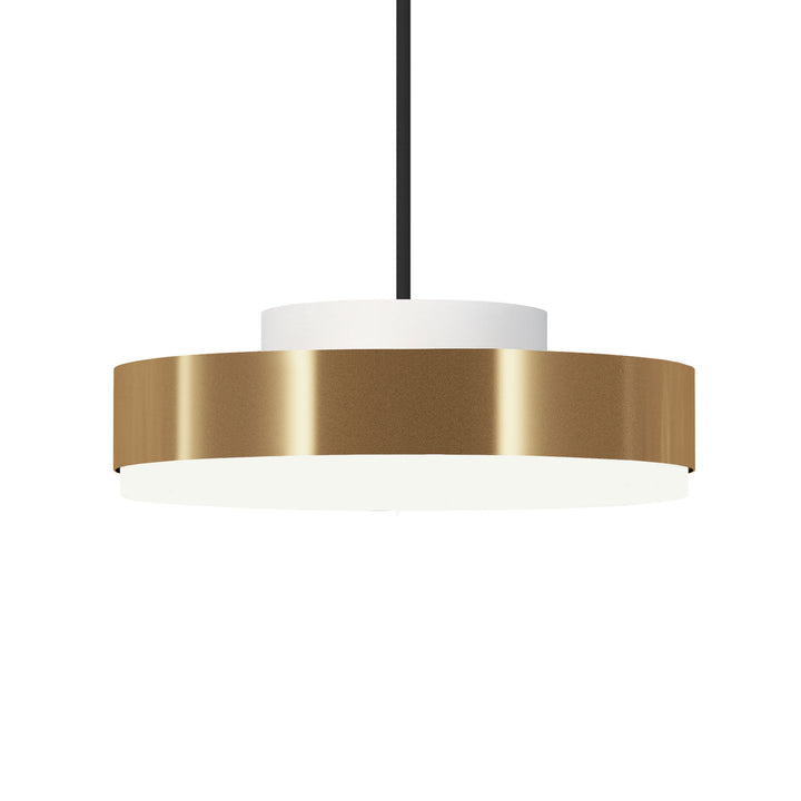 Discus Suspension