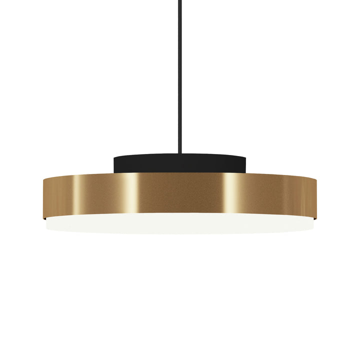 Discus Suspension