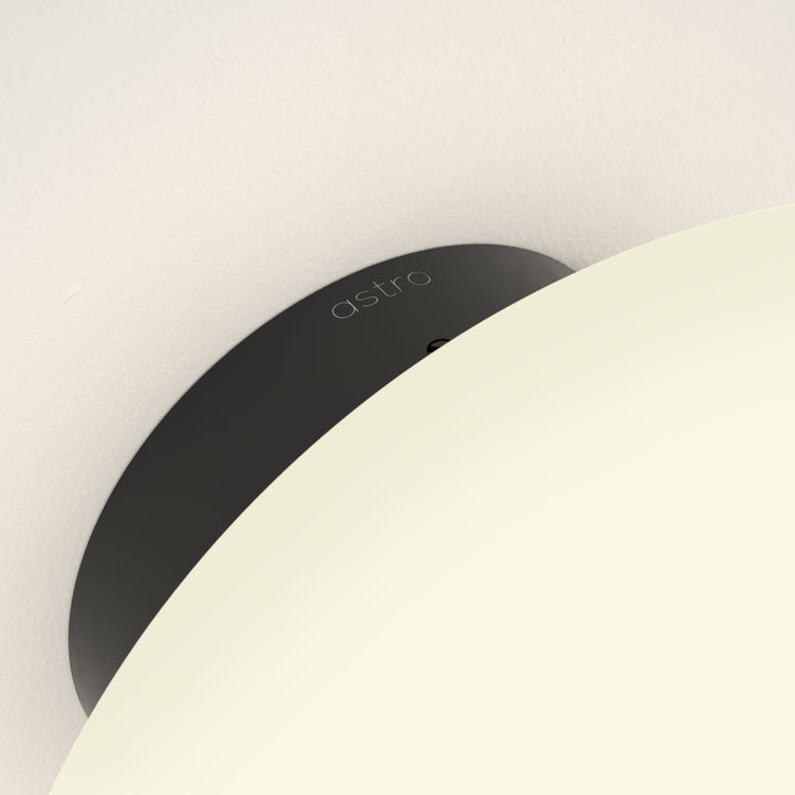 Zeppo Wall Light