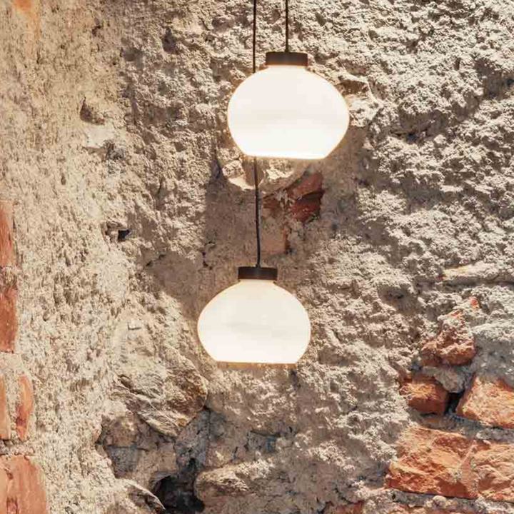 Cera Pendula
