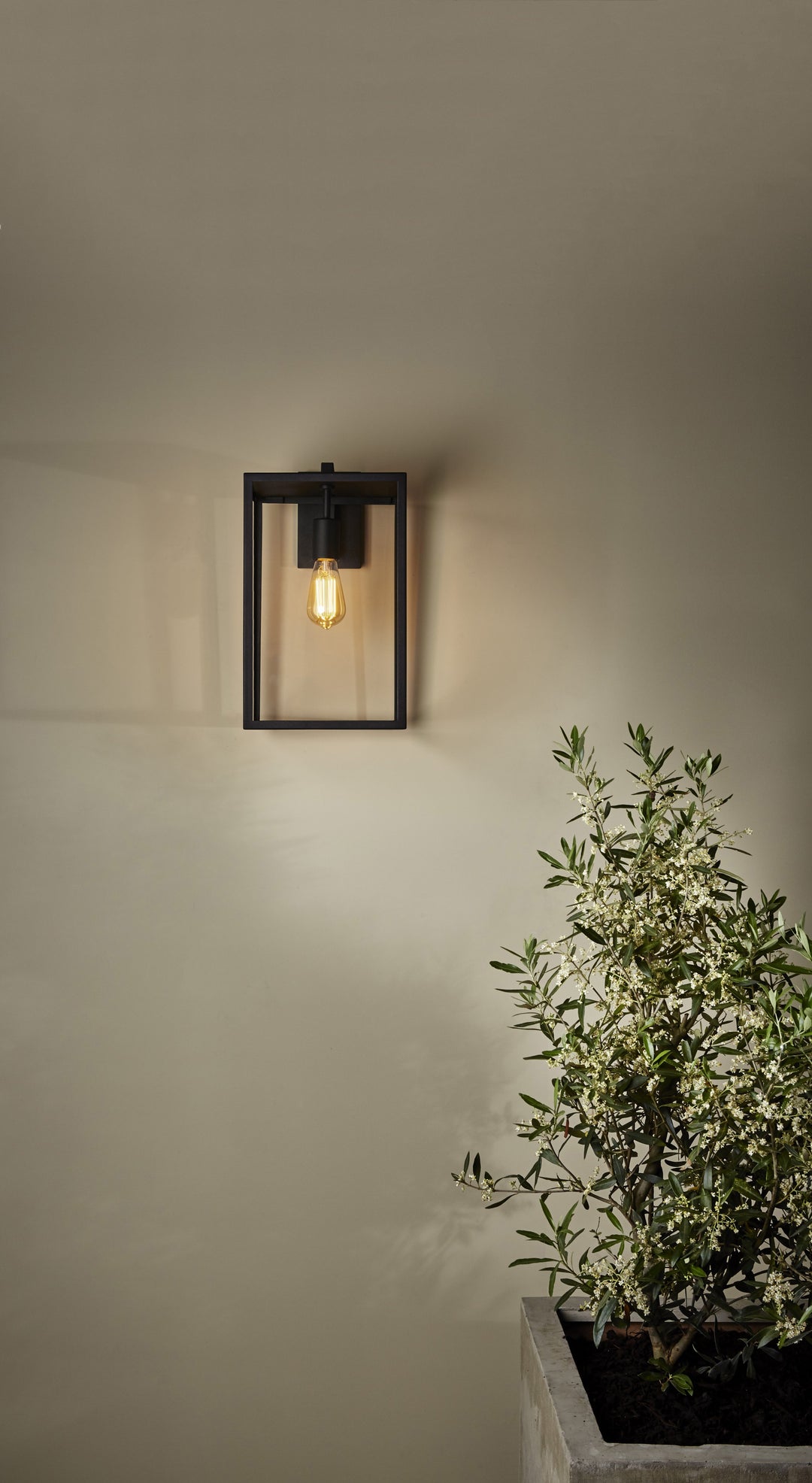 Box Lantern 450