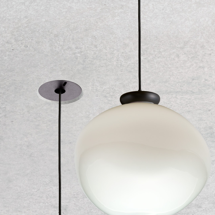 Cera Pendula