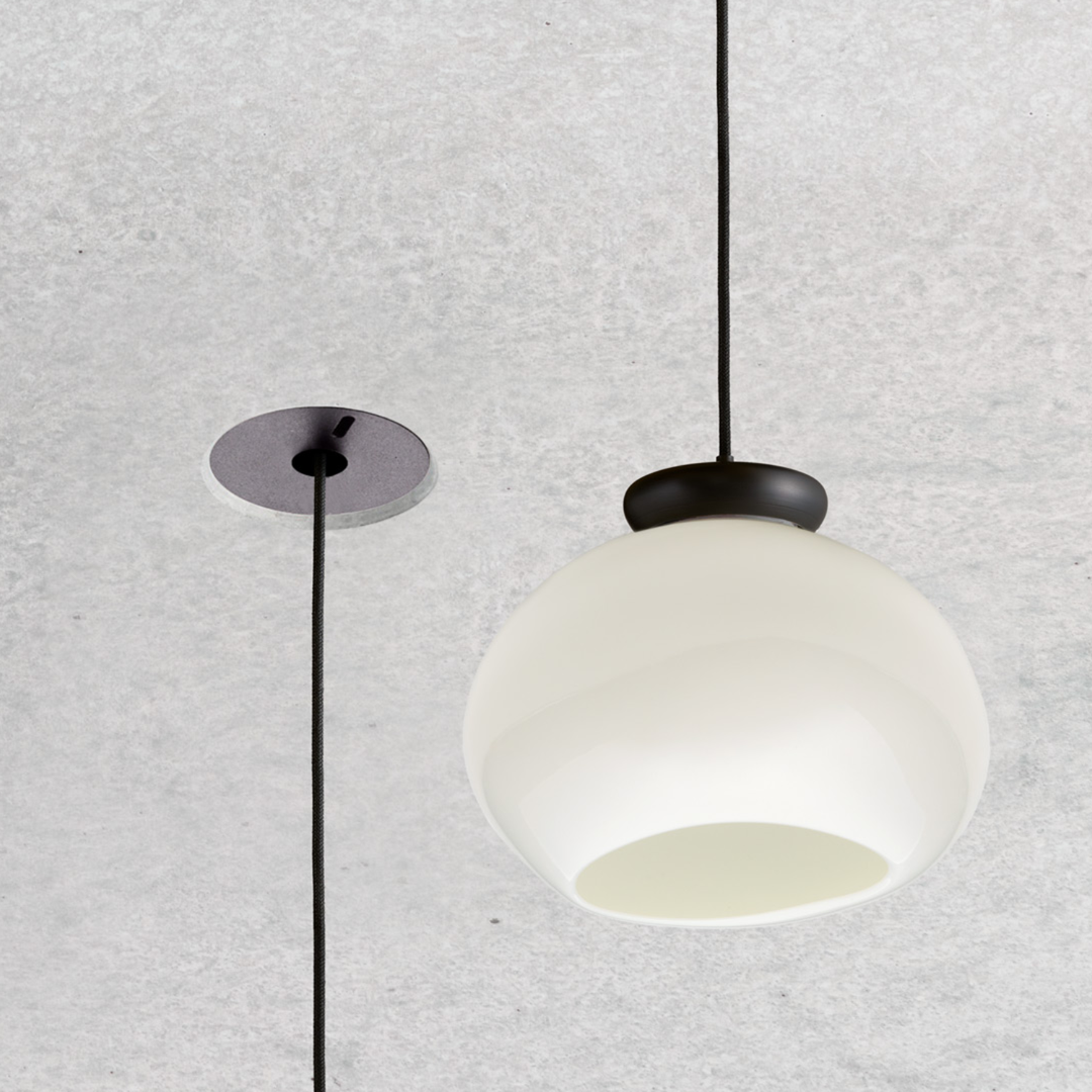 Cera Pendula