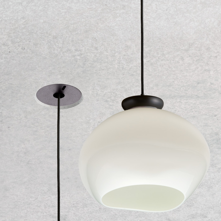 Cera Pendula