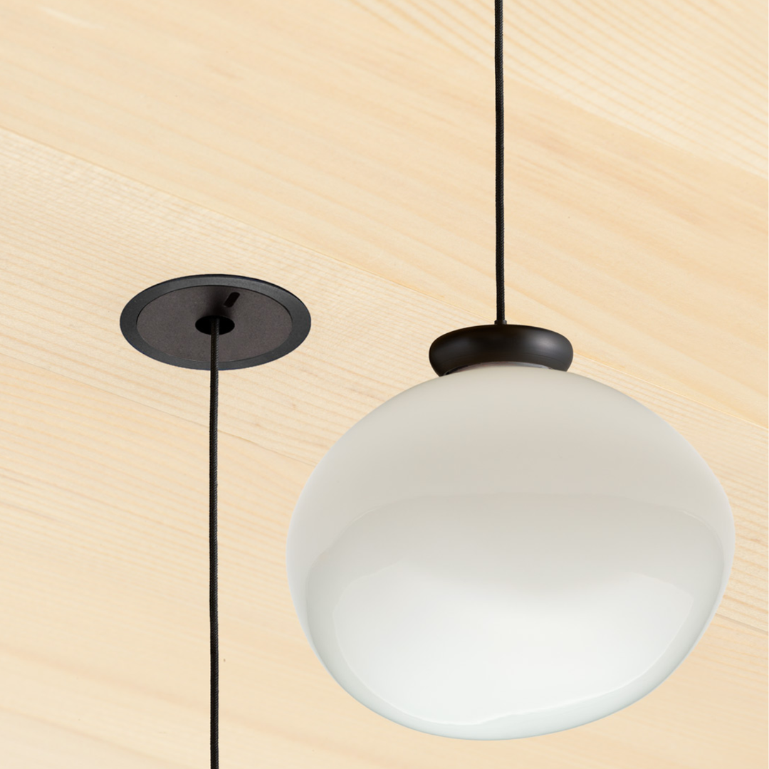 Cera Pendula