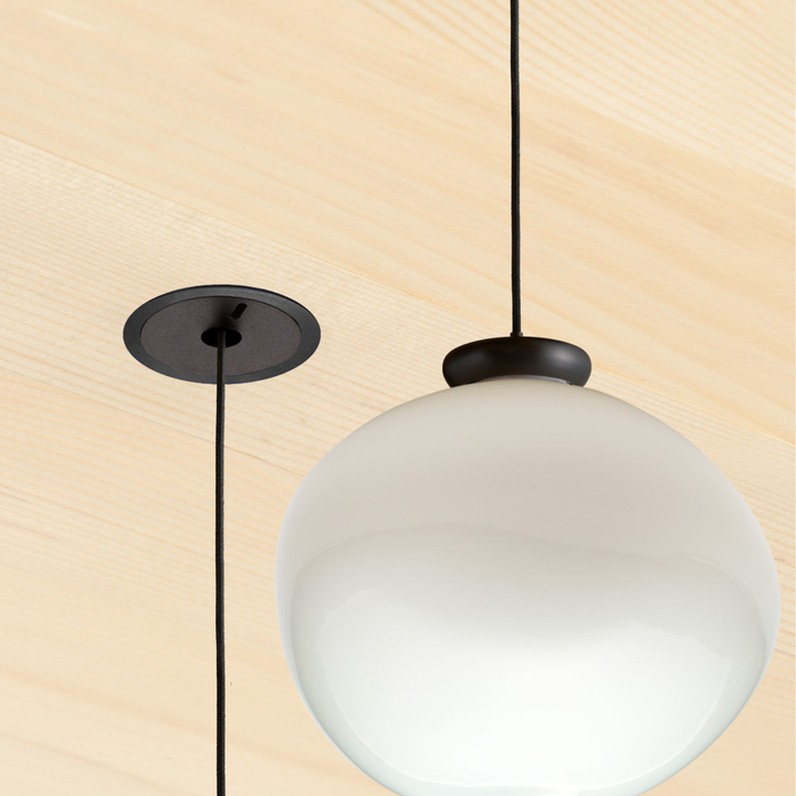 Cera Pendula