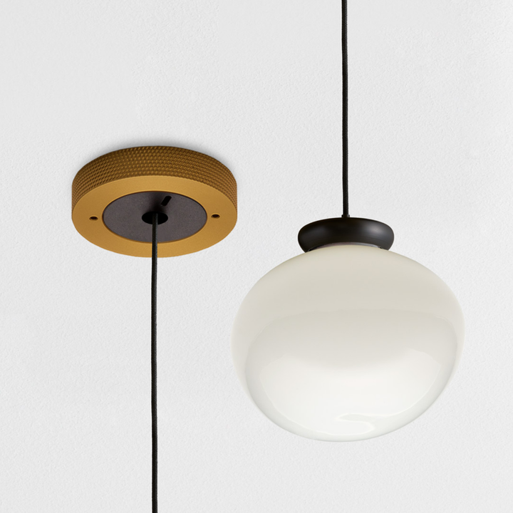 Cera Pendula