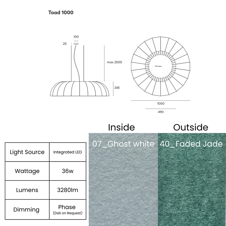Toad LED 1000