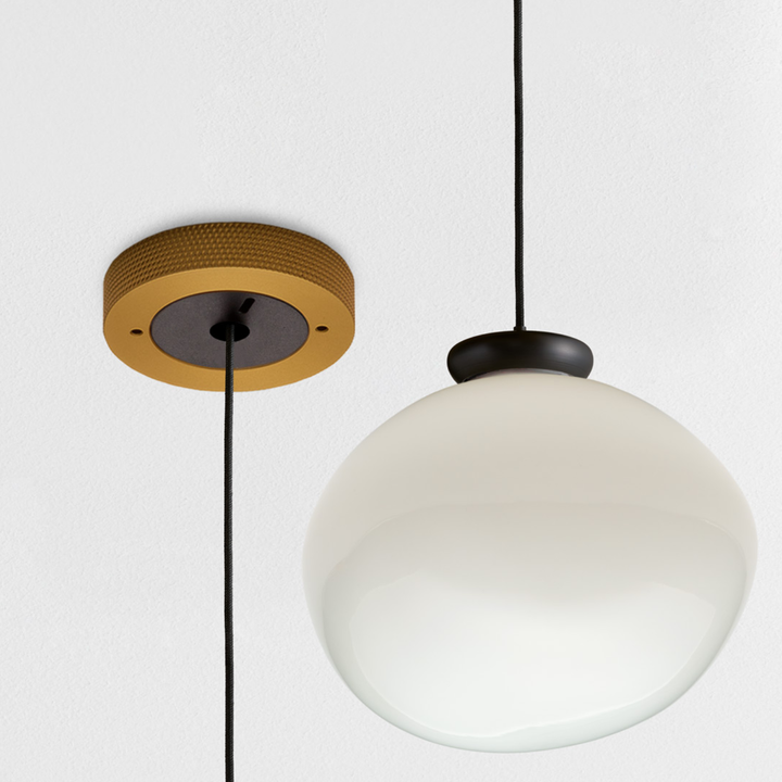 Cera Pendula