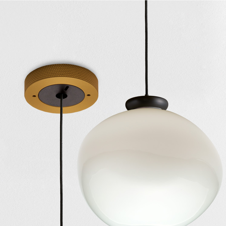 Cera Pendula