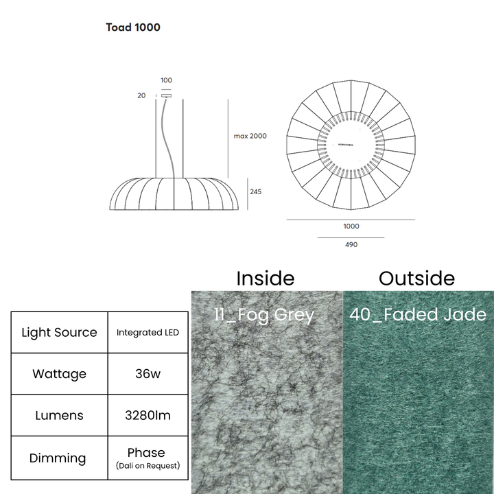 Toad LED 1000