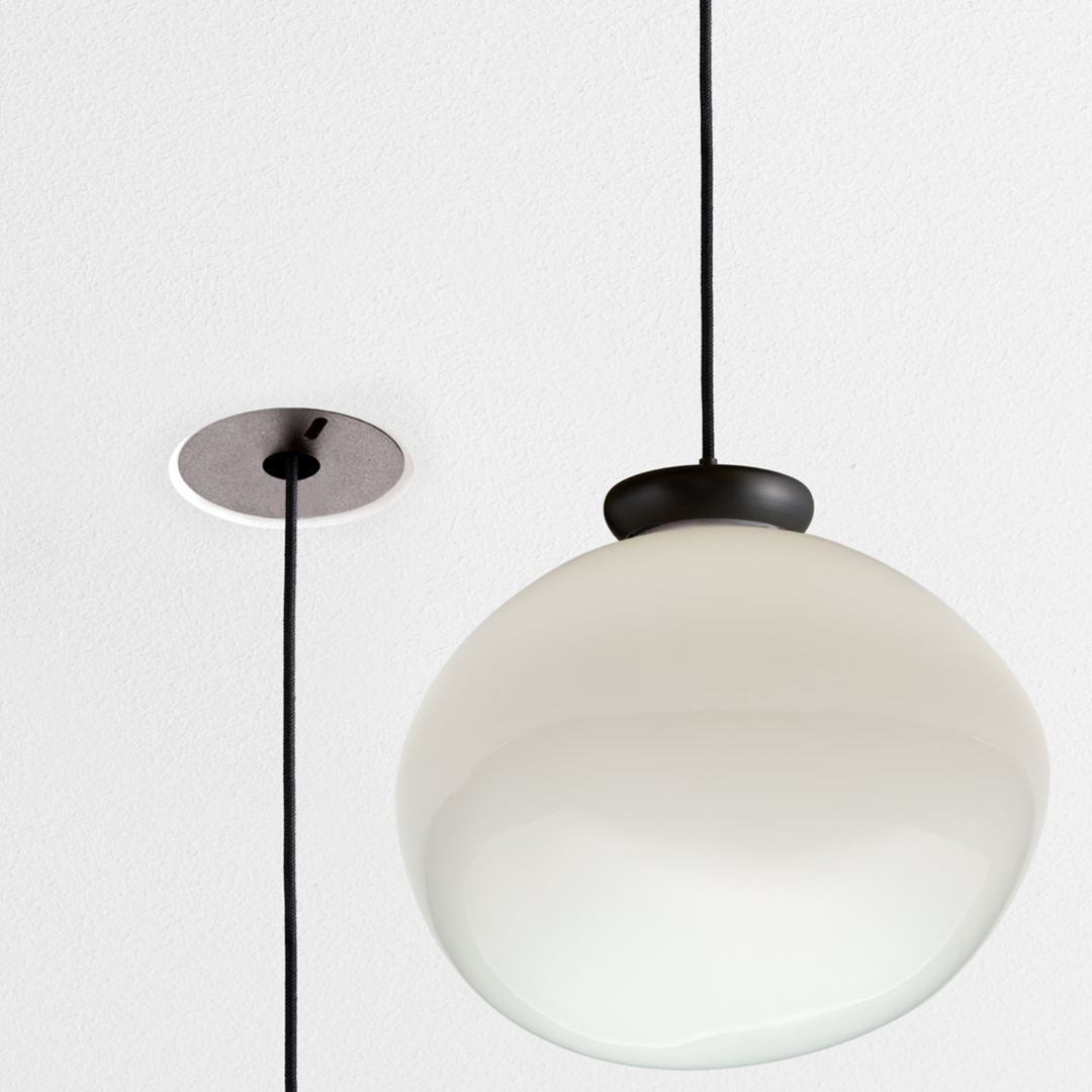 Cera Pendula