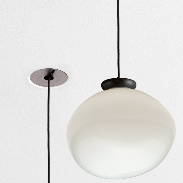Cera Pendula