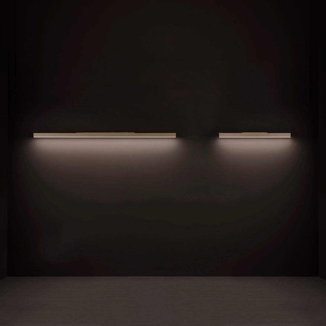 Fly Picture and Vanity Light