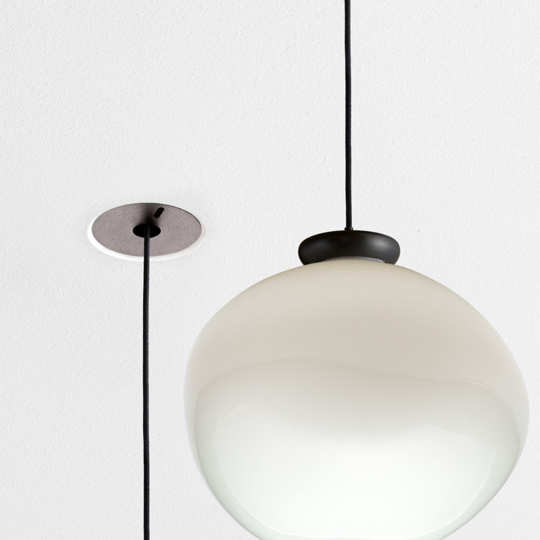 Cera Pendula
