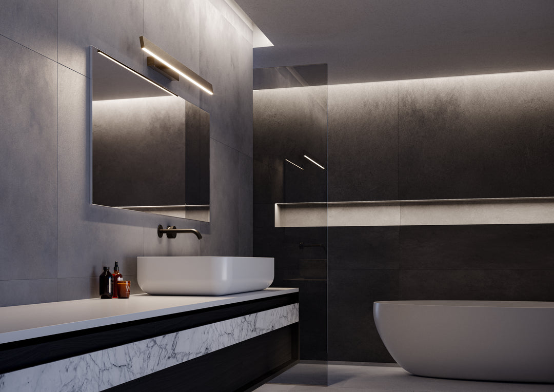 Fly Picture and Vanity Light