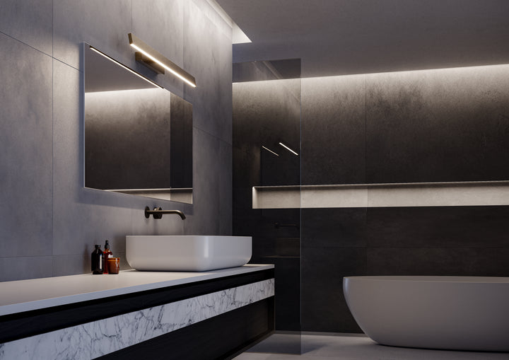 Fly Picture and Vanity Light
