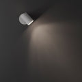 Ascoli Single Switched