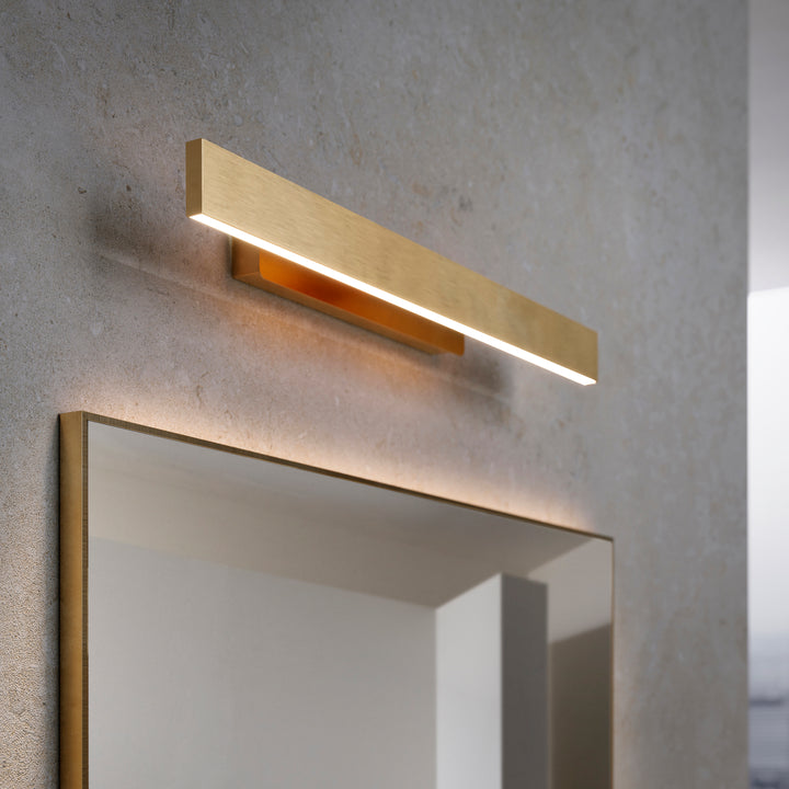 Fly Picture and Vanity Light