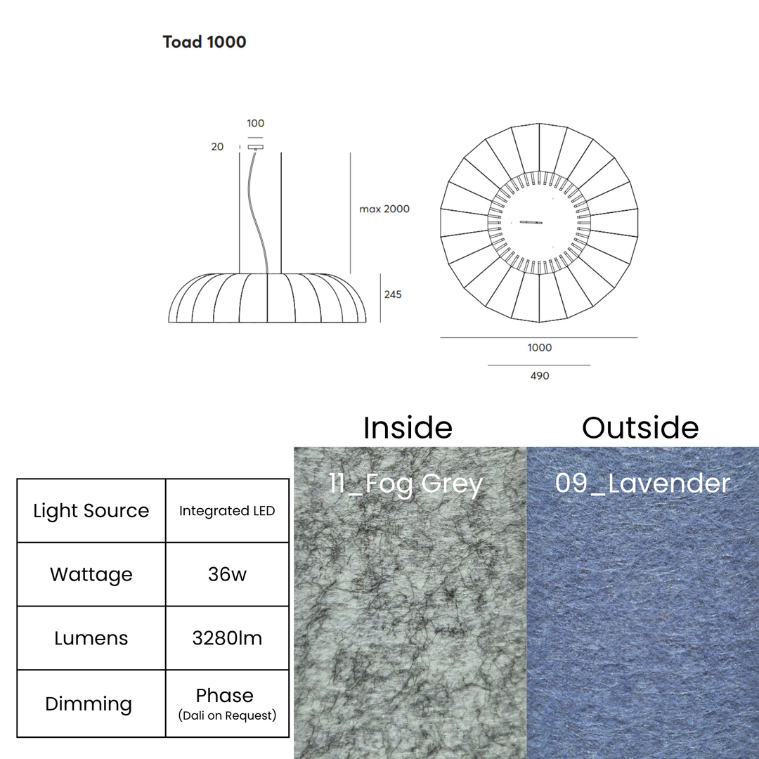 Toad LED 1000