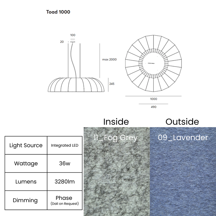 Toad LED 1000