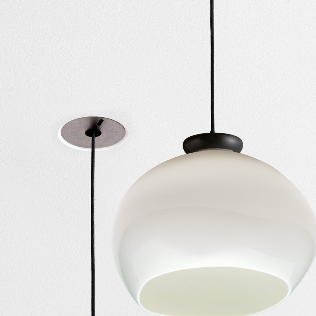 Cera Pendula