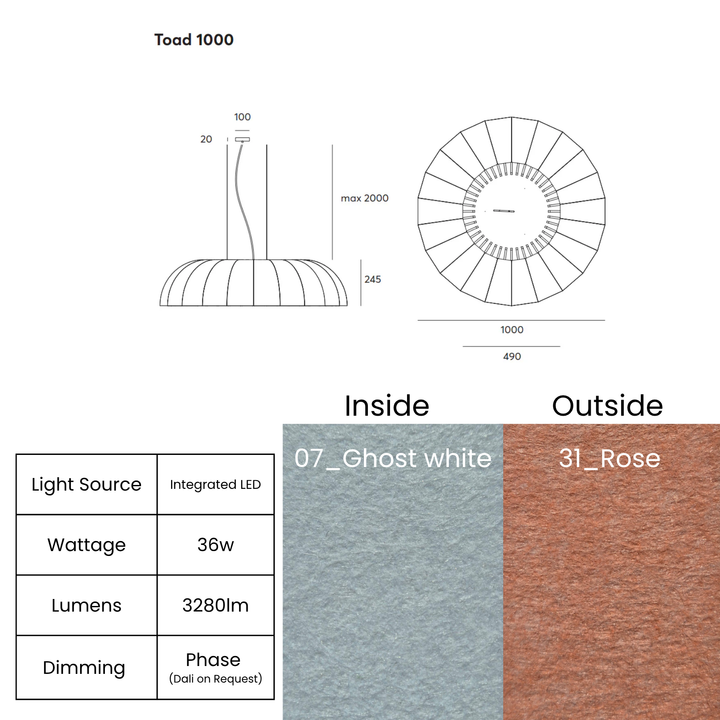 Toad LED 1000