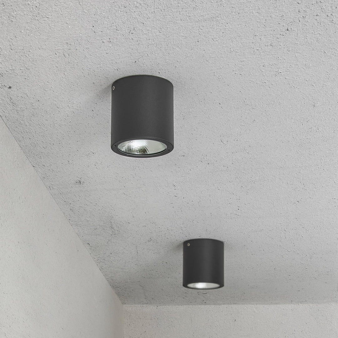 Goz Ceiling