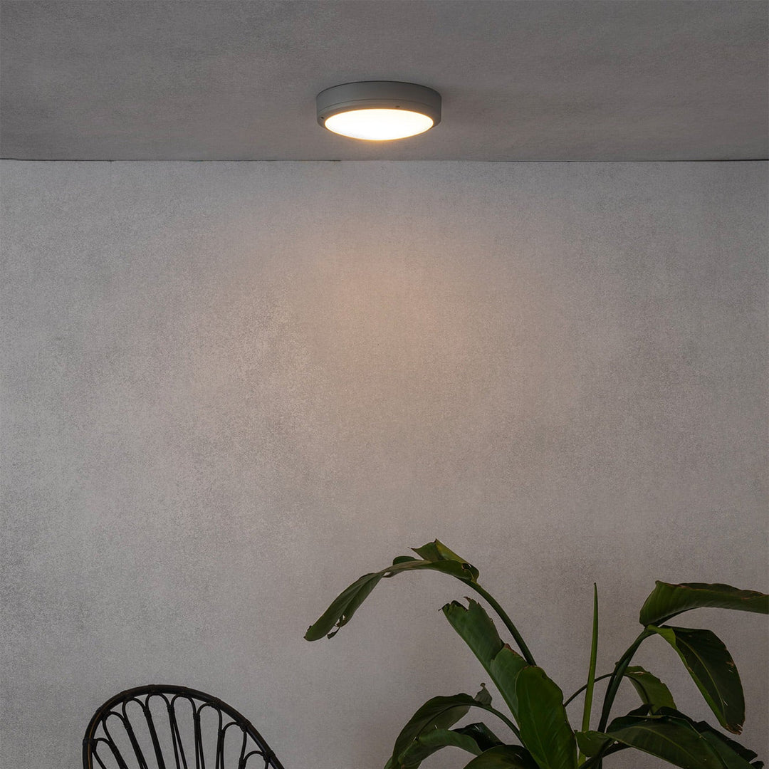 Yen Ceiling Light