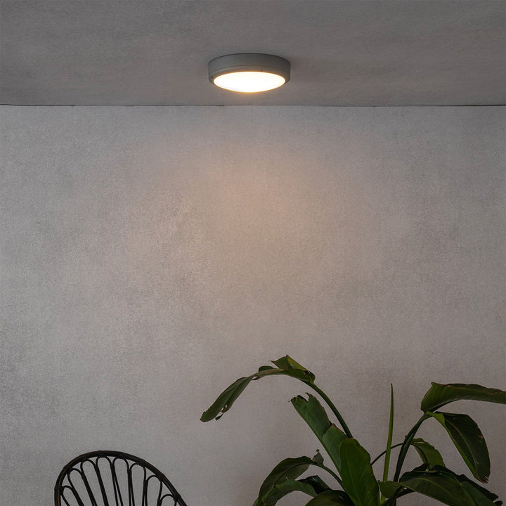 Yen Ceiling Light