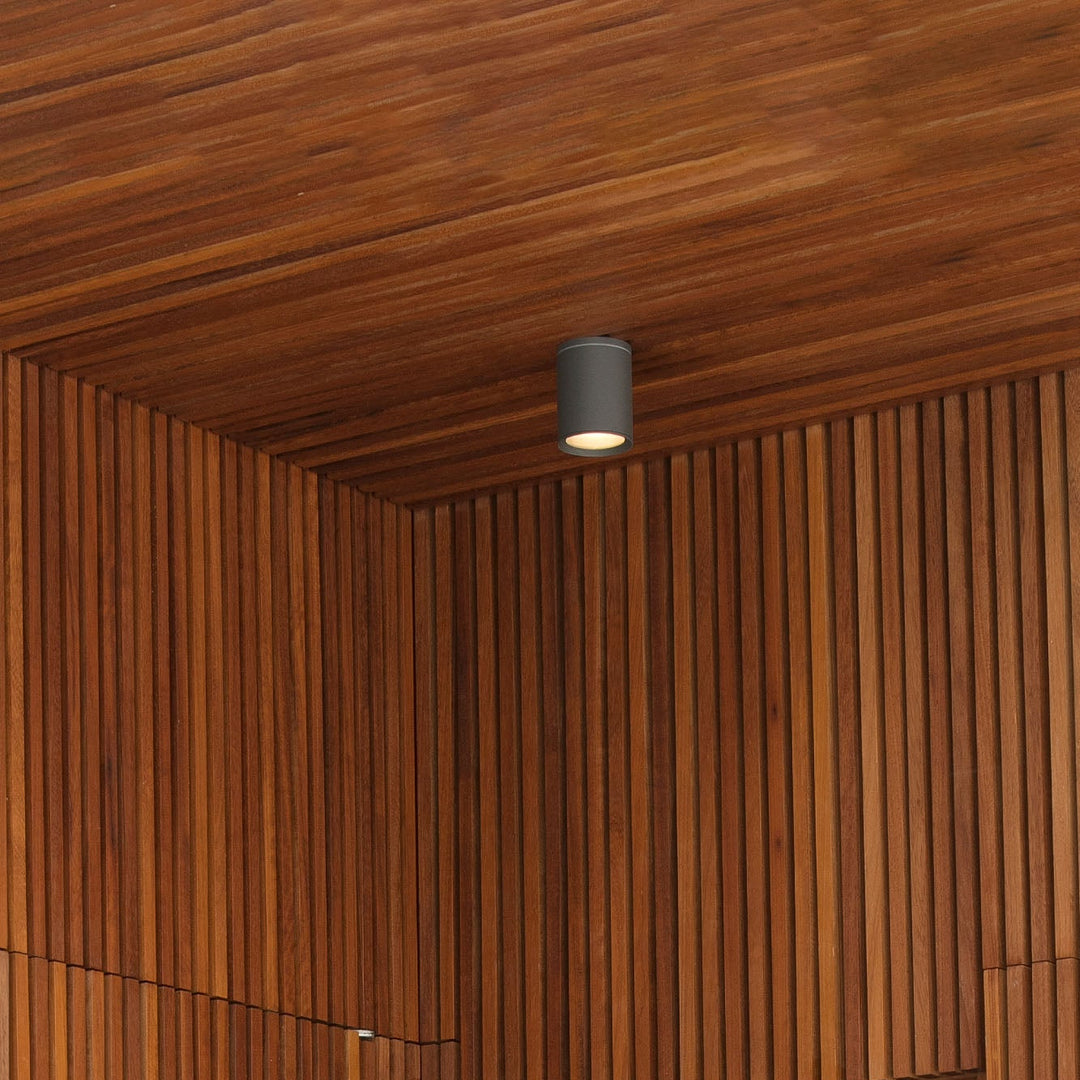 Tasa Ceiling