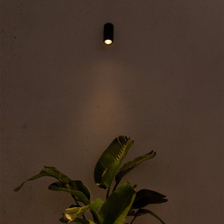 Plom Projector Lamp