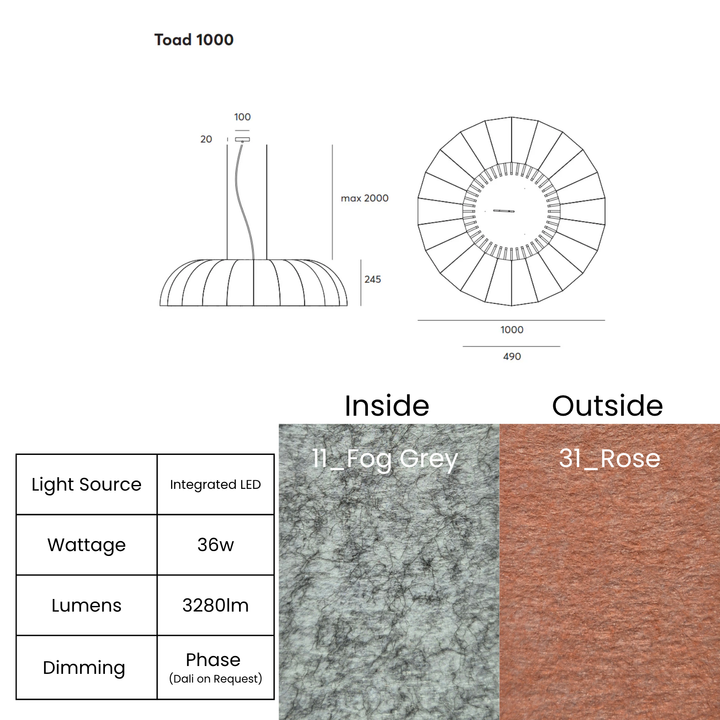 Toad LED 1000