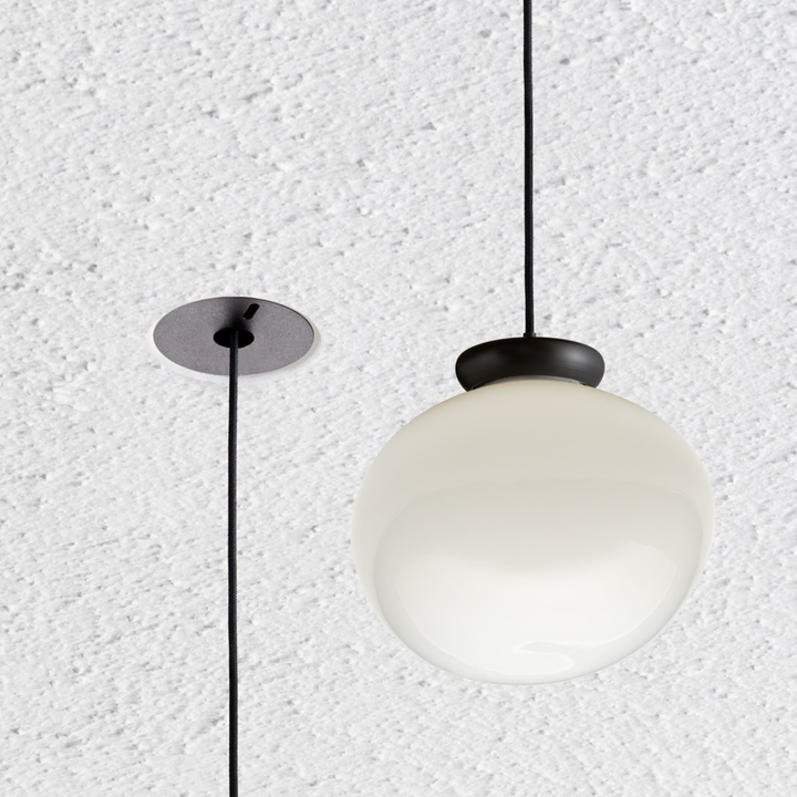 Cera Pendula