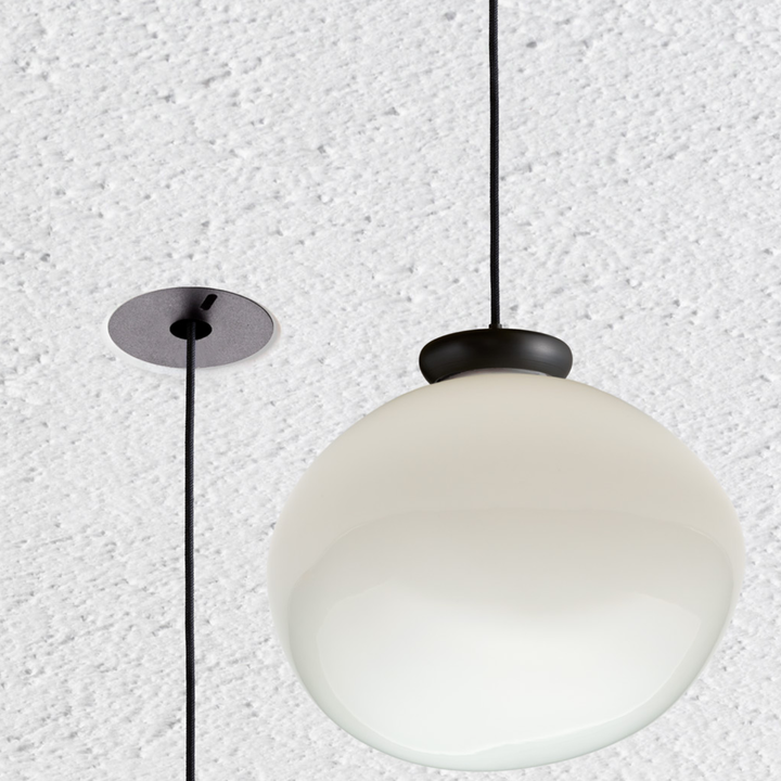 Cera Pendula