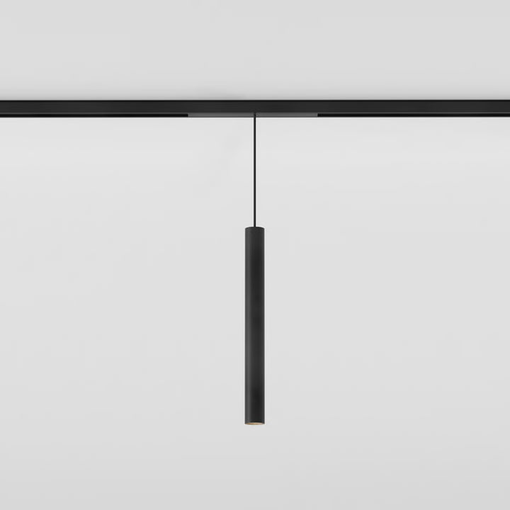 Can 30 Pendant 48V Track DALI