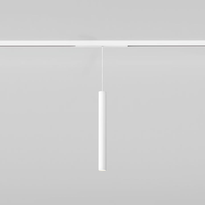 Can 30 Pendant 48V Track DALI