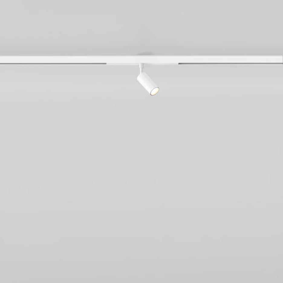 Can 30 Spot 48V Track DALI