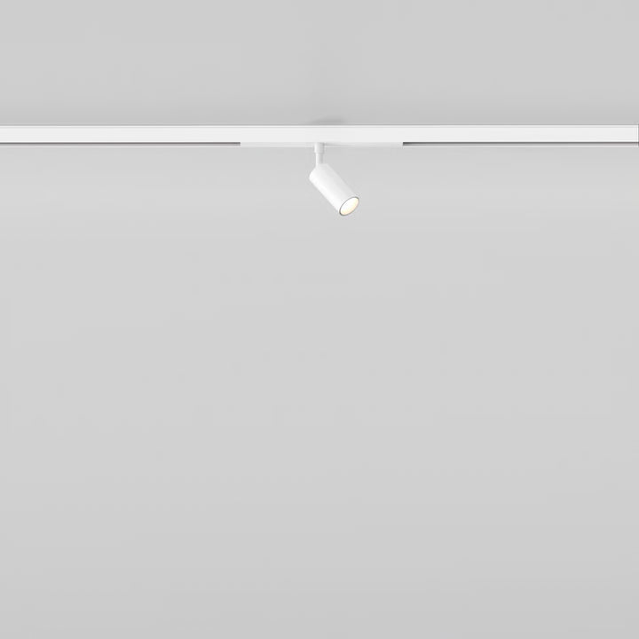 Can 30 Spot 48V Track DALI