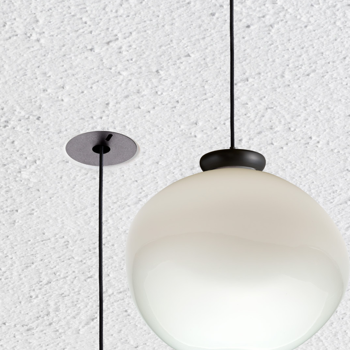 Cera Pendula