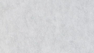 Moon Grey