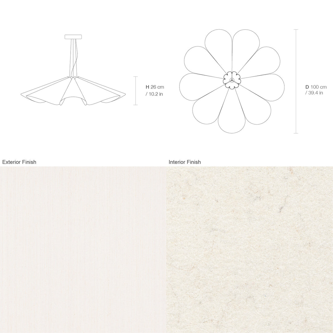 Delfina 100 Acoustic