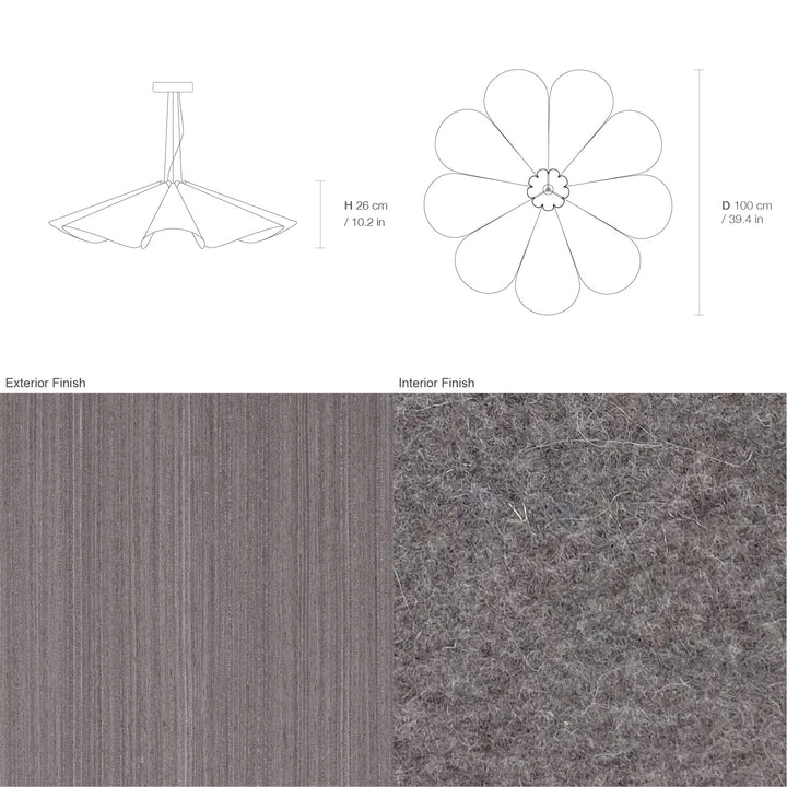 Delfina 100 Acoustic