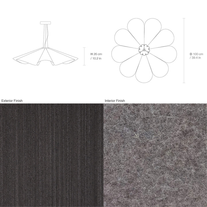 Delfina 100 Acoustic