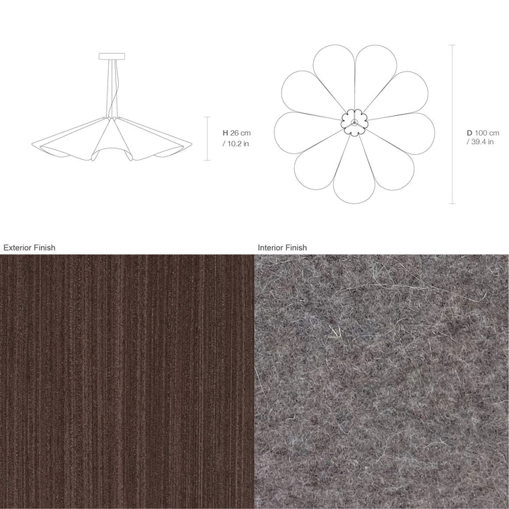 Delfina 100 Acoustic