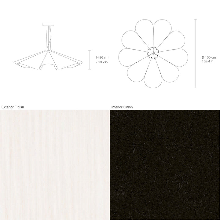 Delfina 100 Acoustic